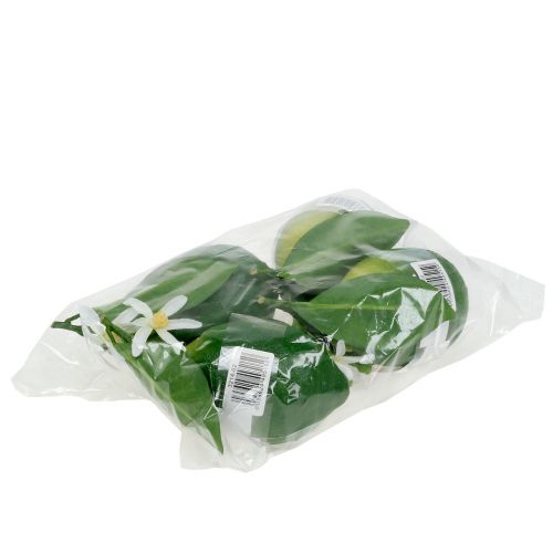 Floristik24 Citroner med blomst 9,5 cm grøn 4 stk