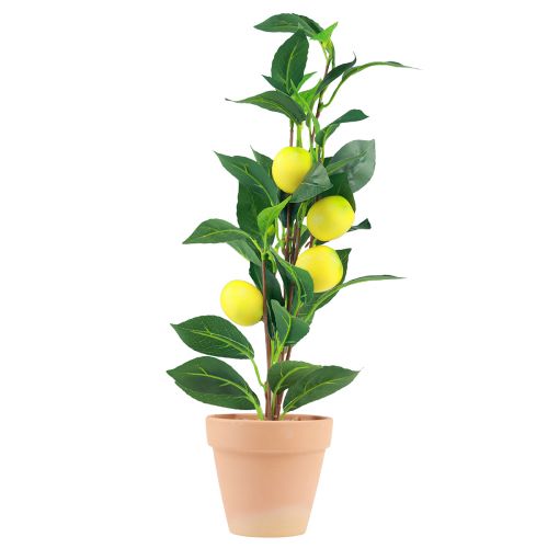 Floristik24 Citrontræ i potte kunstig plante 42cm