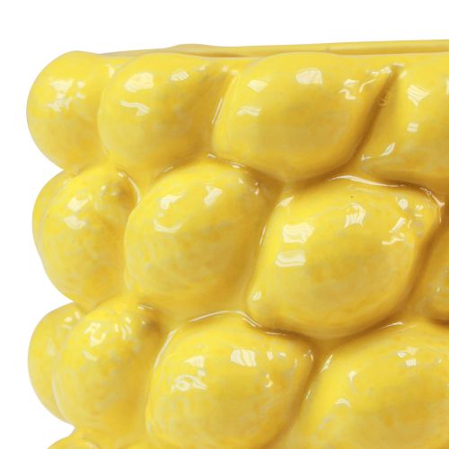 Floristik24 Citronvase keramisk plantekasse citrongul Ø17cm H15cm