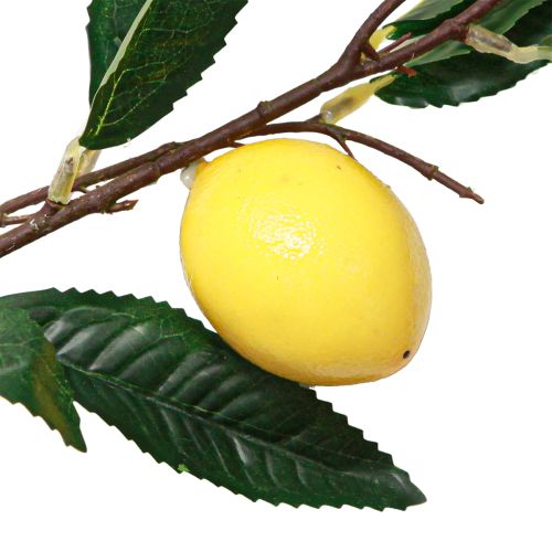 Artikel Kunstig citrongren kunstig citrongren 91cm 2stk