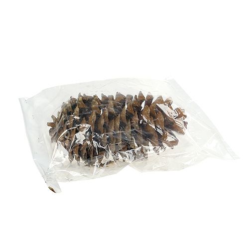 Floristik24 Sukker fyrrekogler naturlig 20-25cm