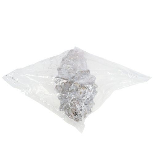 Floristik24 Sukker fyrrekogler, hvidkalkede 20cm - 30cm