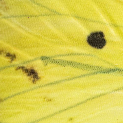 Artikel Sommerfuglegren, kunstnerisk forårsdekoration til indendørs brug, 75 cm