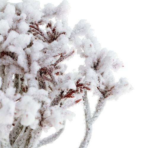 Floristik24 Gren med sne 22cm 3stk