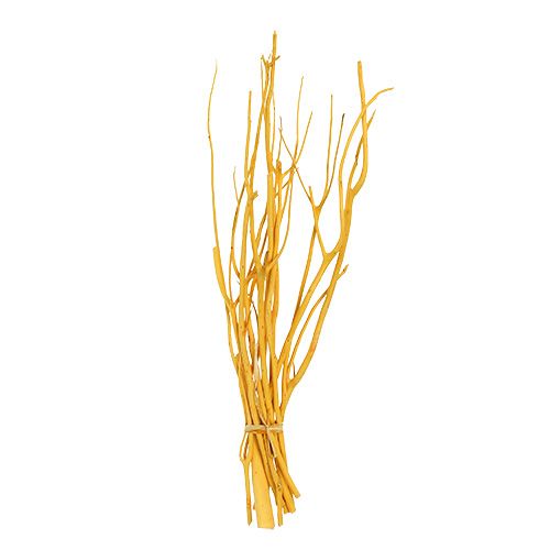 Floristik24 Dekorative grene Mitsumata gul 45-60cm 12 stk
