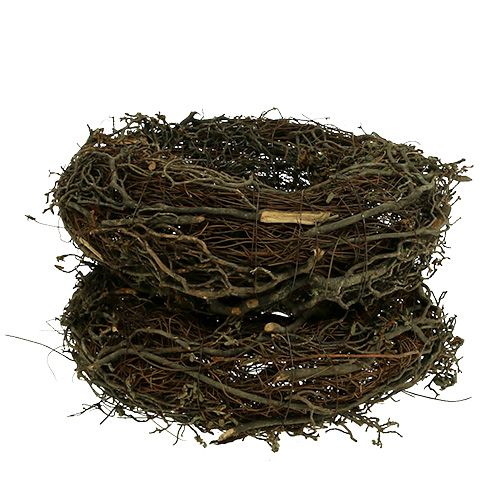 Floristik24 Grenkrans Ø25cm 2stk. Natur