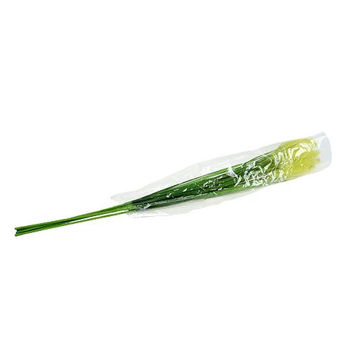Floristik24 Løggræs 68 cm grønt 6stk