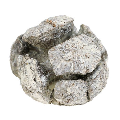 Artikel Cypreskegler 3cm hvidvasket 500g
