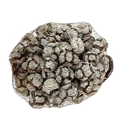 Artikel Cypreskegler 3cm hvidvasket 500g