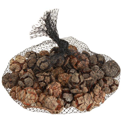 Artikel Cypreskegler dekorative naturlige cypreskegler 2-4cm 250g