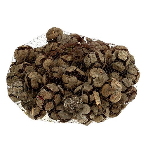 Artikel Cypreskegler natur 3cm 500g