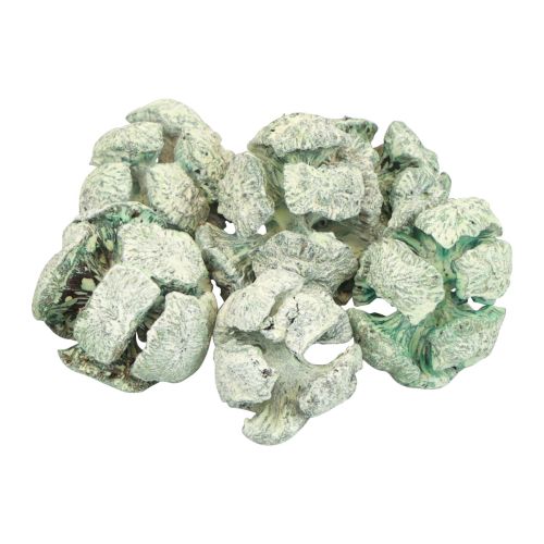 Cypreskegler frostet naturdekoration 3cm grøn 500g