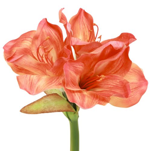Floristik24 Amaryllis dekorative blomster i orange kunstig L55cm 2stk