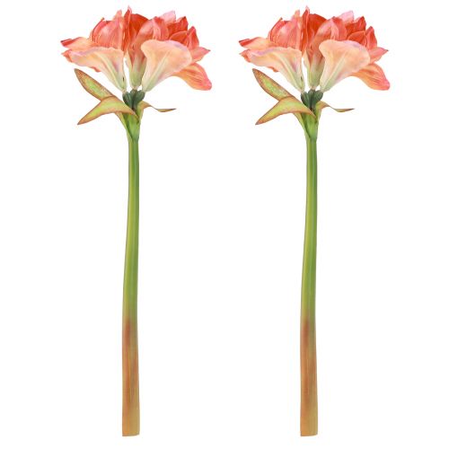 Artikel Amaryllis dekorative blomster i orange kunstig L55cm 2stk