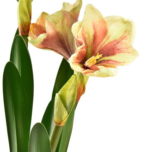 Artikel Amaryllis i en moskugle kunstig med lyserøde-gule mønstrede blomster - 45 cm - Eksotisk og stilfuld dekoration