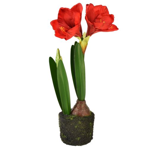 Artikel Amaryllis i kunstige moskugler - lyse røde blomster, 49 cm - elegant og naturlig rumdekoration