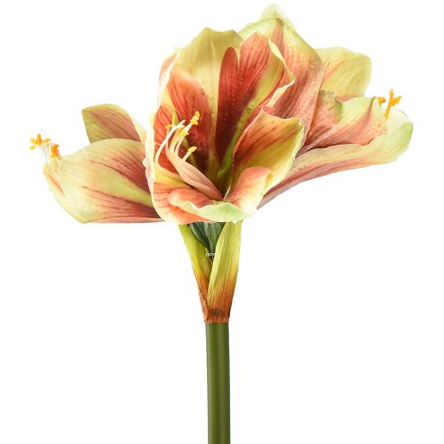 Floristik24 Kunstig amaryllis blomst i pink og gul - 66 cm - ideel gaveidé og stilfuld dekoration til interiøret