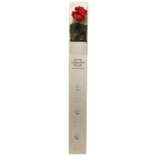 Artikel Infinity Rose med blade bevaret Amorosa Rød L54cm