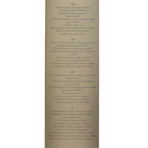 Artikel Infinity Rose med blade bevaret Amorosa Rød L54cm