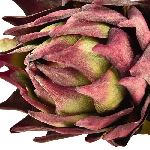 Artikel Kunstig Artiskok Stor Kunstig Blomst Dry Look Lilla 76cm