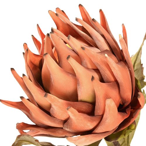 Artikel Artiskok kunstig blomst efterår orange tørt look Ø15cm 73cm