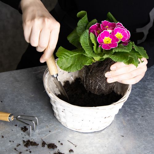 Artikel Kurvedekoration i flet til alsidig indretning, 20 cm, 8 stk.