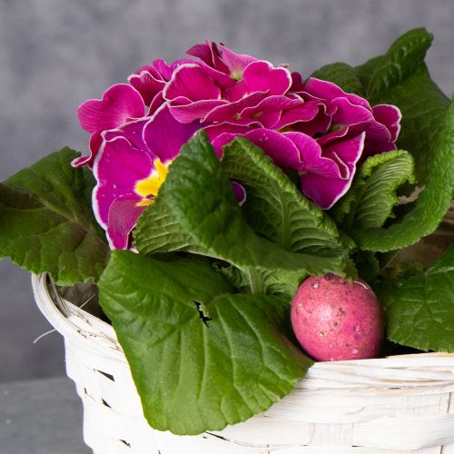 Artikel Kurvedekoration i flet til alsidig indretning, 20 cm, 8 stk.