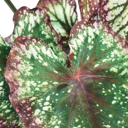 Artikel Begonia Kunstige Planter Blad Begonia Grøn Lilla 62cm
