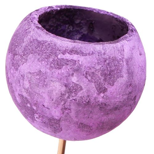 Floristik24 Klokkekop på pind Eksotisk tør dekoration Purple Berry 44cm 15 stk