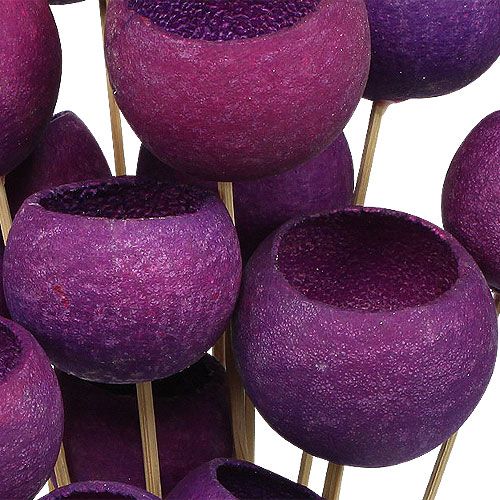 Floristik24 Bell Cup Mix på pind Erika 15 stk