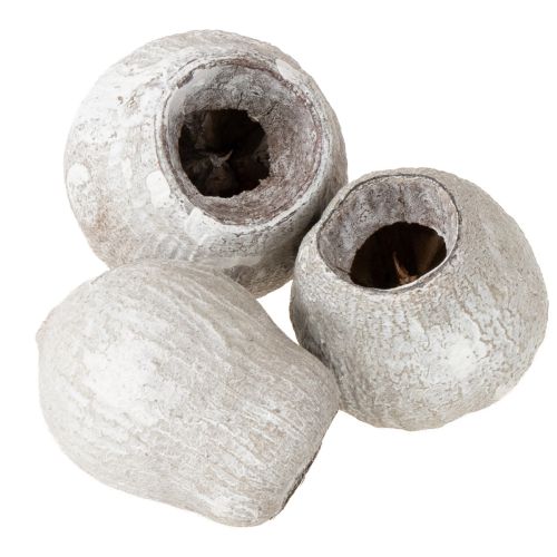 Floristik24 Hvidkalkede klokkegummier 2 cm - 5 cm 500 g