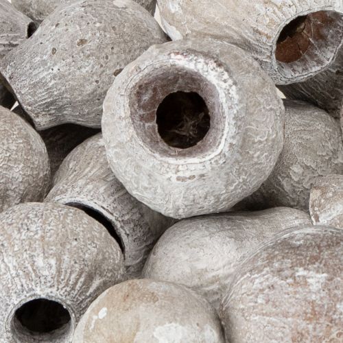 Artikel Hvidkalkede klokkegummier 2 cm - 5 cm 500 g