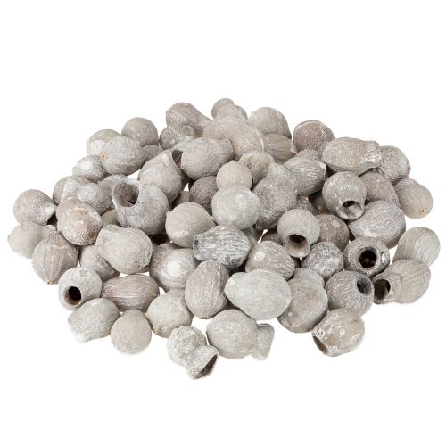 Artikel Hvidkalkede klokkegummier 2 cm - 5 cm 500 g