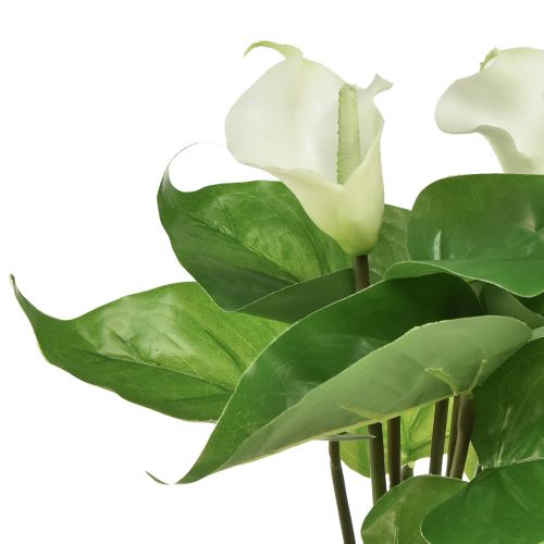 Artikel Calla Lily Kalla Kunstige Blomster Hvide Eksotiske Blomster 34cm