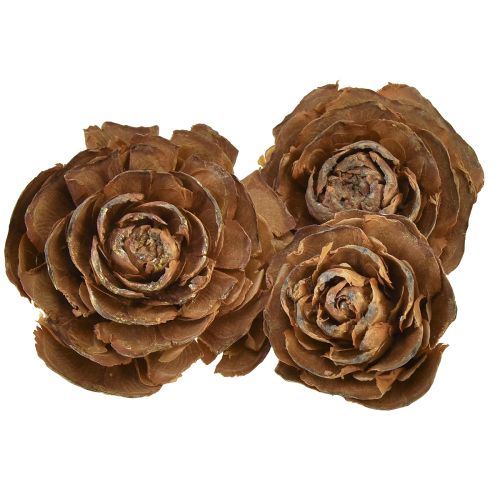 Floristik24 Kegler af cedertræ skåret som en rosencederrose 4-6cm naturel 50 stk