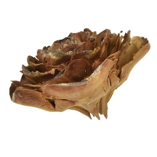 Floristik24 Kegler af cedertræ skåret som en rosencederrose 4-6cm naturel 50 stk