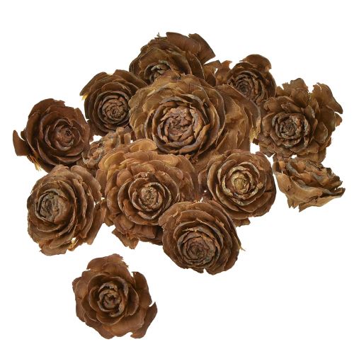 Artikel Kegler af cedertræ skåret som en rosencederrose 4-6cm naturel 50 stk