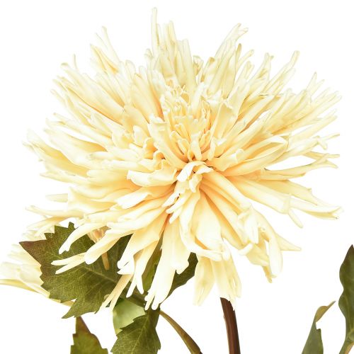 Artikel Krysantemum creme kunstig blomst med 2 blomster L70cm