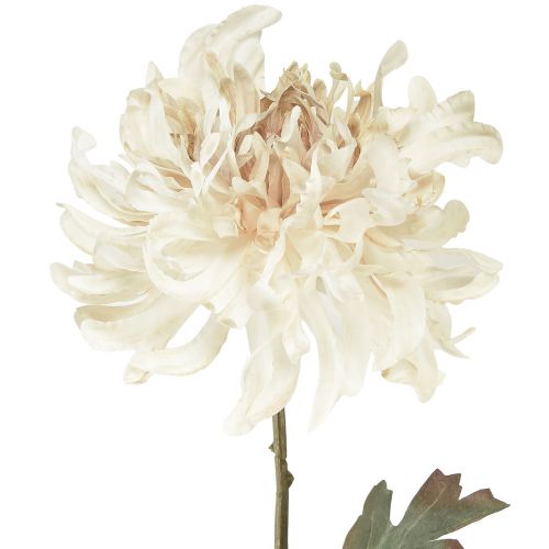 Artikel Krysantemum Kunstige Dekorative Blomster Creme L72cm 2stk