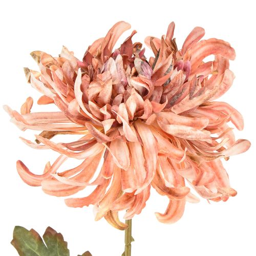 Artikel Krysantemum Pink Laks Kunstig Ø13cm L72cm 2stk