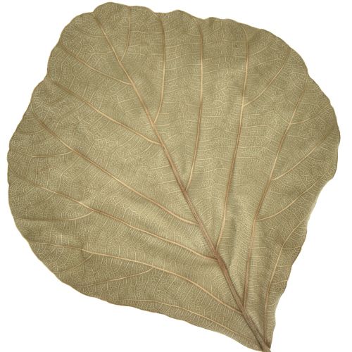 Artikel Cobra blade tørret grøn natur 15cm–17cm 50 stk