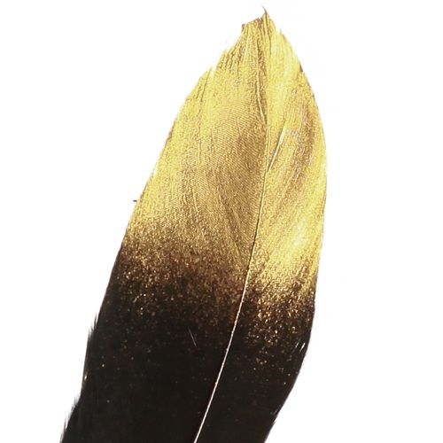 Artikel Dekorative fjer sort guld ægte gåsefjer 15-20cm 50stk