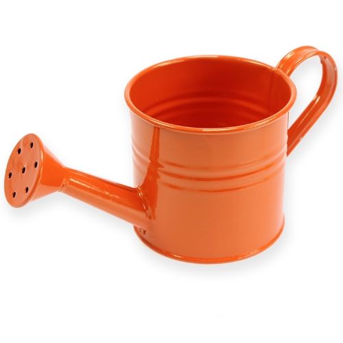 Floristik24 Vandingskande Ø11cm H9cm 8stk. forskellige farver