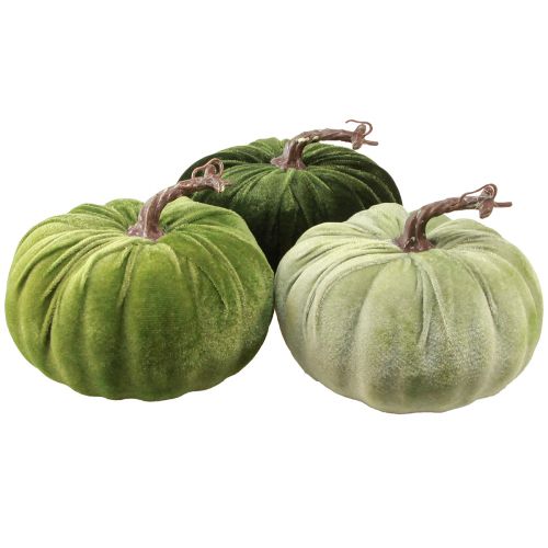 Floristik24 Deco græskar efterårsgrøn mørkegrøn lysegrøn Ø18cm 3 stk