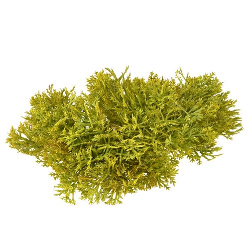 Floristik24 Dekorativ mos kunstig grøn brun – mospude 10/12/14cm 3 stk.