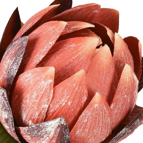 Artikel Dekorative Protea kunstige blomster rød-orange 34 cm 3 stk.