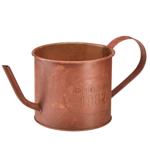 Dekorativ rustvandkande plantekasse metal Ø12,5cm H10,5cm