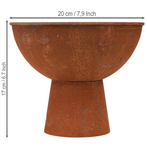 Artikel Dekorativ skål med fod, bæger, rustfarvet metal, Ø20,5 cm, 2 stk.