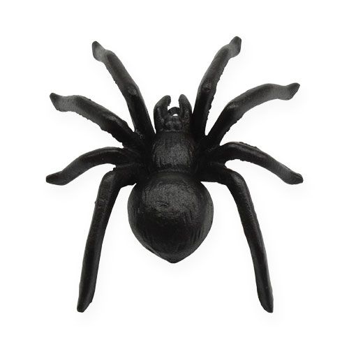 Floristik24 Spider Mørkebrun 13,5 cm