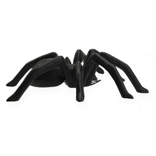 Floristik24 Spider Mørkebrun 13,5 cm